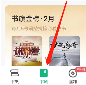 书旗小说