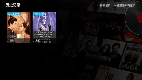 摸鱼HD盒子