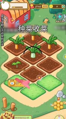 全民种菜4