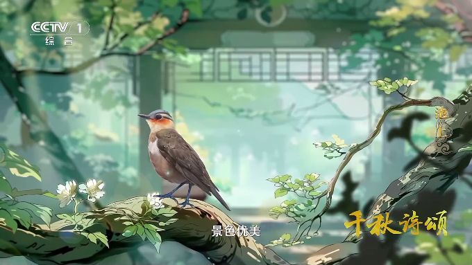 前缘tv电视版
