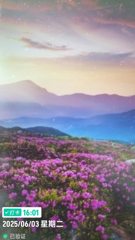 工程水印相机打卡拍照4