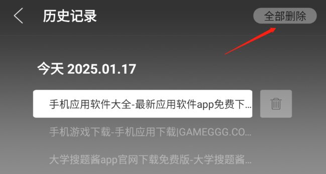 飞视浏览器领先版1
