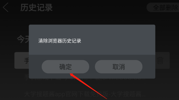 飞视浏览器领先版2