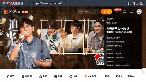 飞视浏览器领先版4