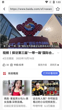 熊猫浏览器升级版2