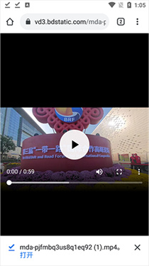 熊猫浏览器升级版