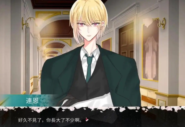 请不要讨厌圣诞中文版