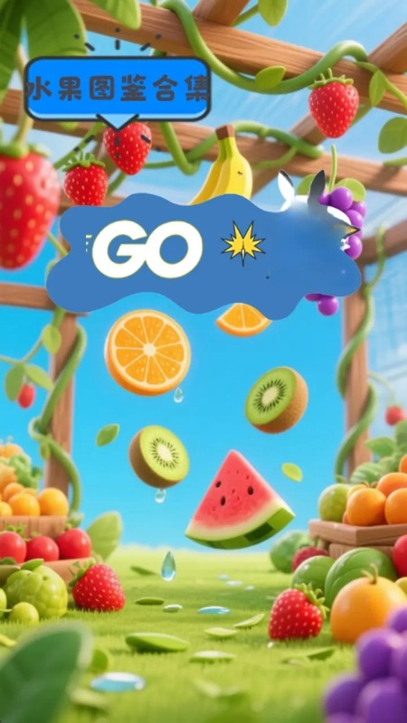 水果图鉴合集4