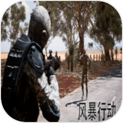 风暴行动