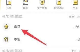 鲨鱼记账永久会员