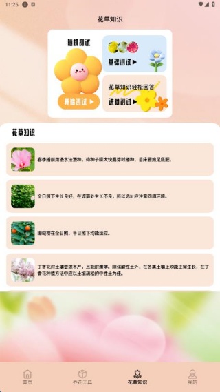 花满人间花语