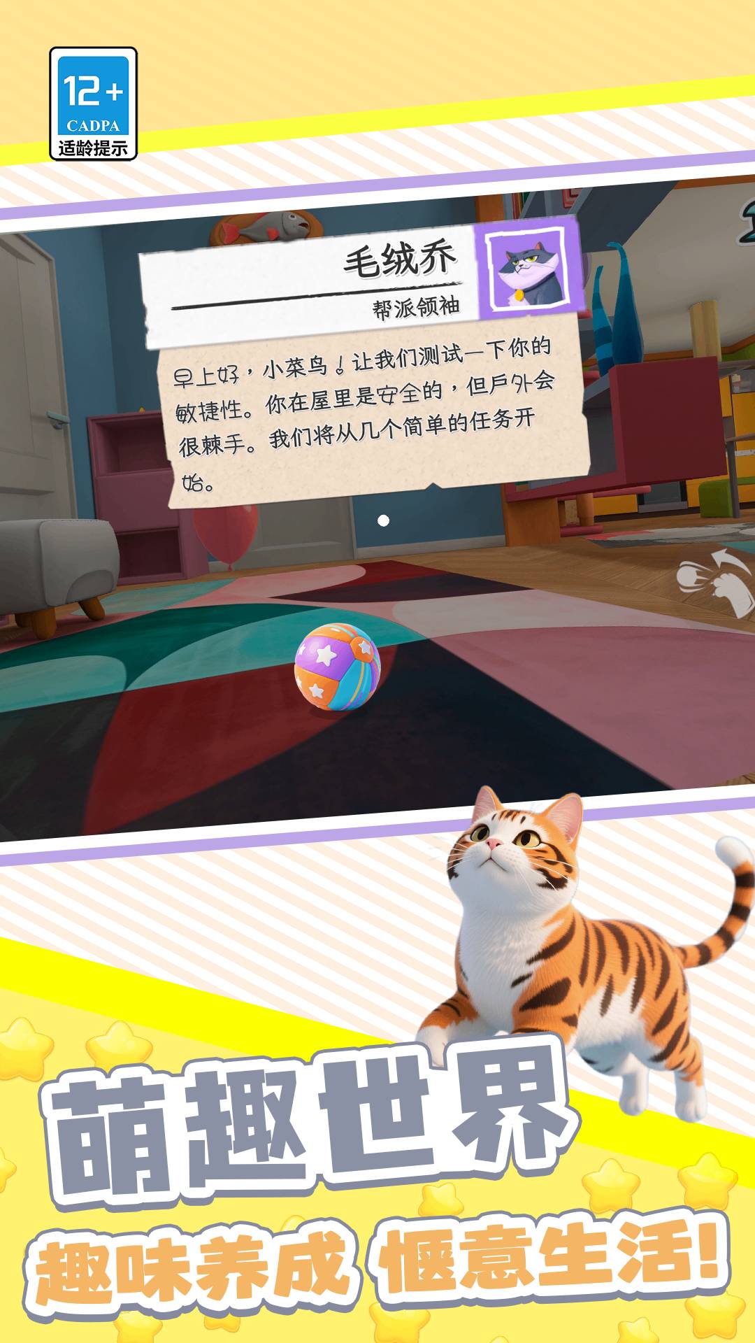 我的猫咪哪去了3