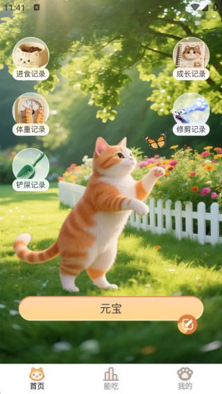 小猫陪伴手册