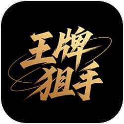 王牌狙手