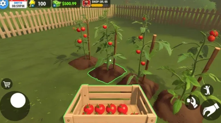 农场超市模拟器1