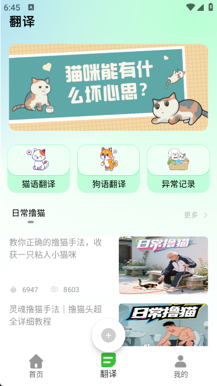猫语空间1