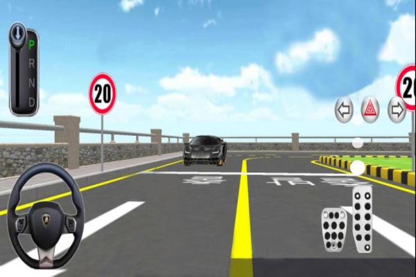 真实驾驶模拟3D1