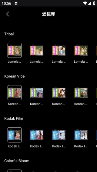 CCD相机复古滤镜