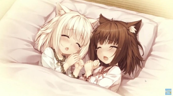 猫娘乐园重制版