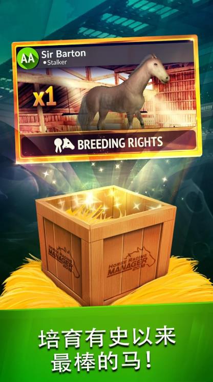 2025年度赛马经理1