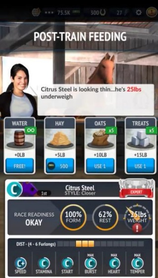 2025年度赛马经理