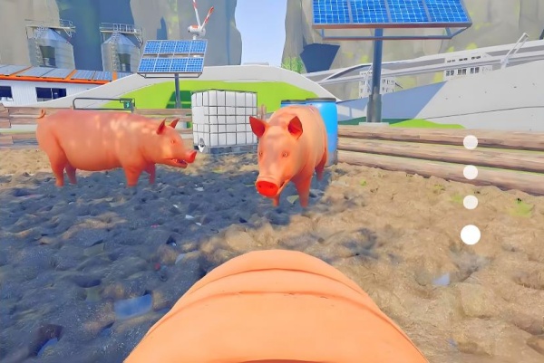 可爱小猪3