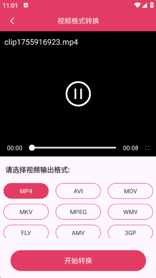 视频格式转换大师