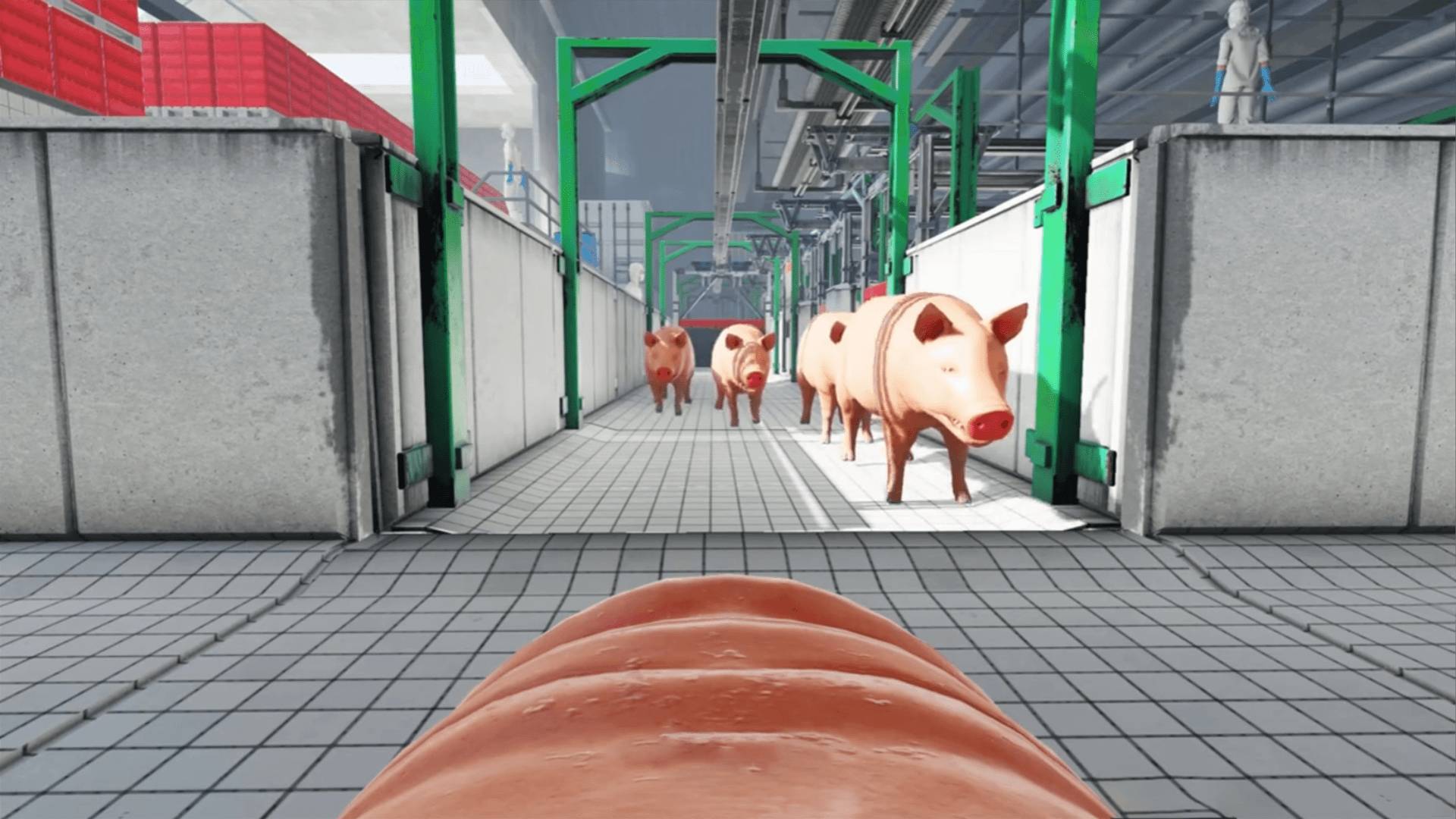 动物进化大作战23