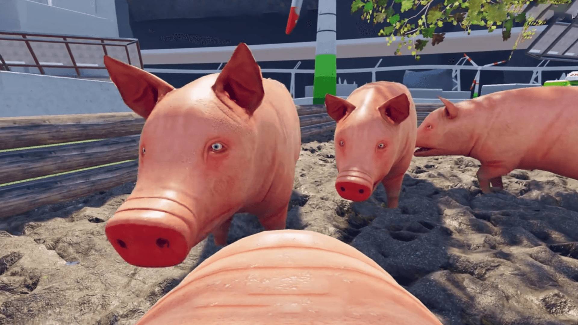 动物进化大作战24