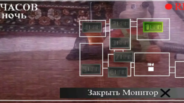 刺猬的五夜后宫1