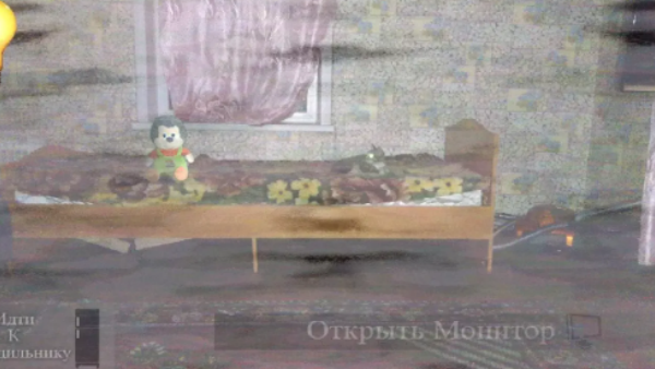 刺猬的五夜后宫2