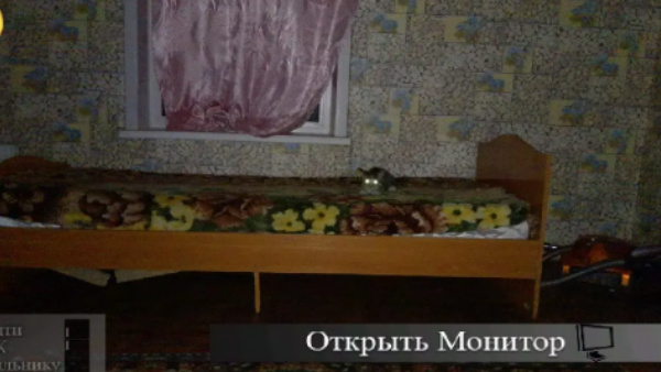 刺猬的五夜后宫3