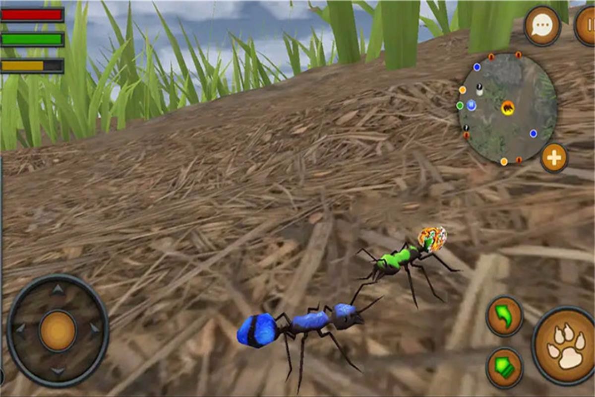 全员加速中之疯狂加速2