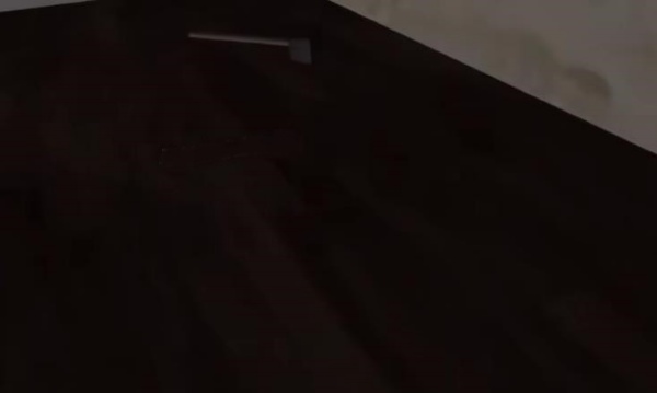 挖掘机里腌萝卜