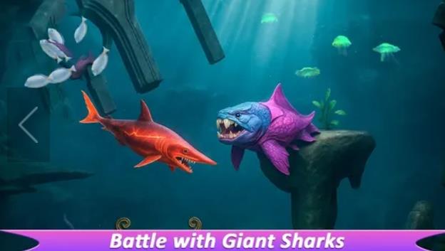 鲨鱼进化进食与生存1