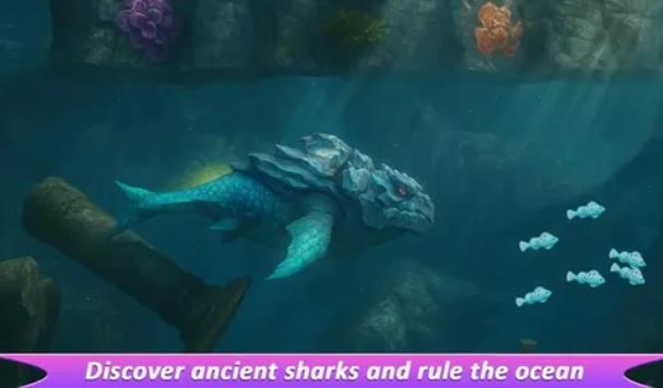 鲨鱼进化进食与生存2