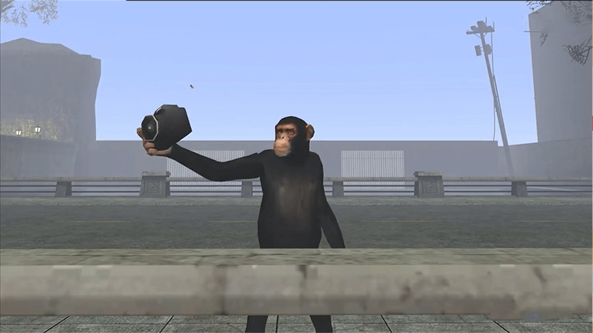 狒狒开放世界24