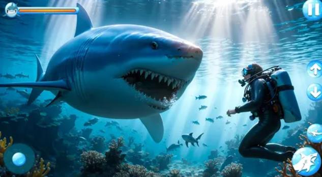 怒鲨攻击模拟1