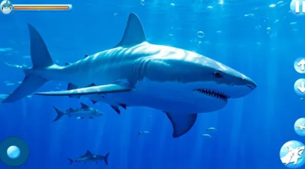怒鲨攻击模拟2