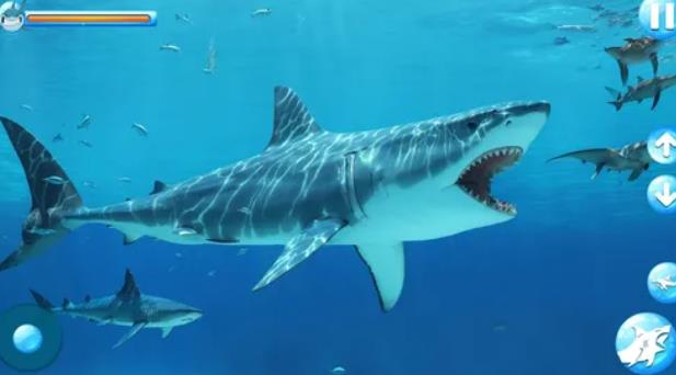 怒鲨攻击模拟4