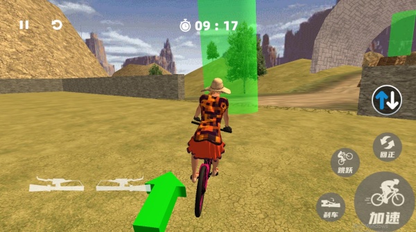 山地自行车竞速赛