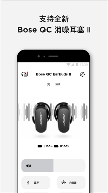 Bose Music1