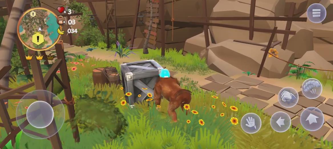 疯狂大猩猩金刚岛屿探险