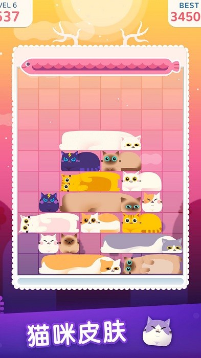 土耳其猫咪消除2