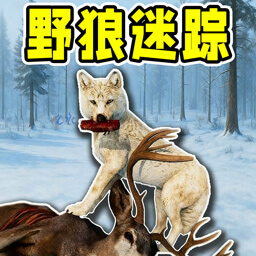 模拟狼生存