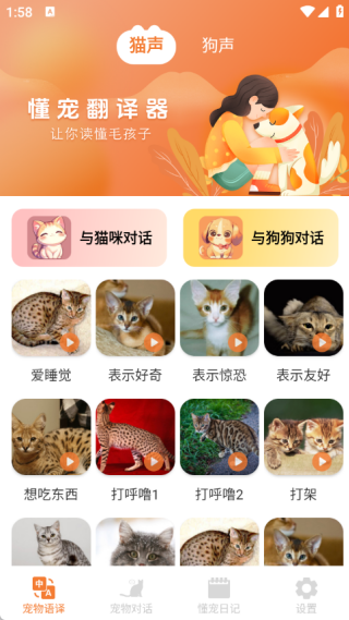 懂宠翻译器