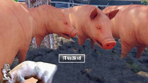 猪生模拟器