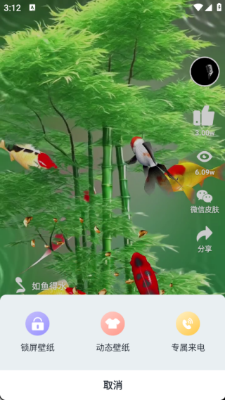 动态养鱼壁纸