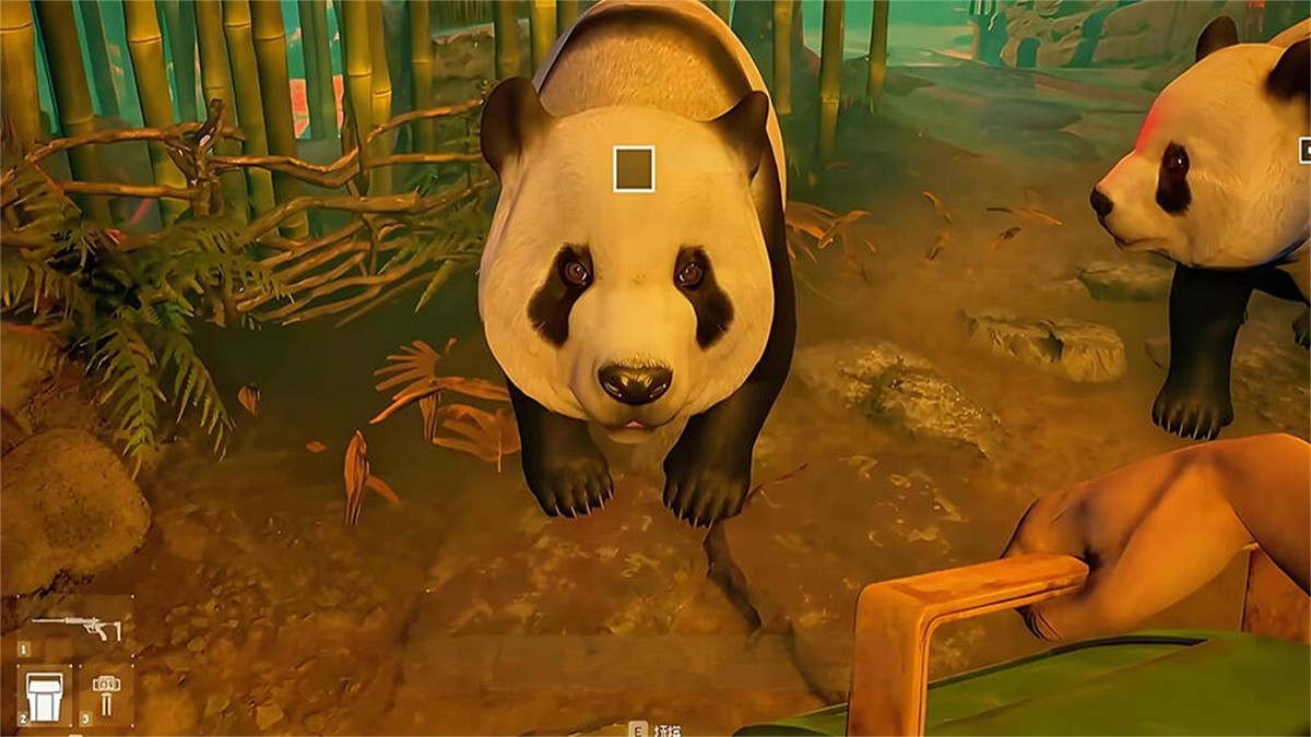 会说话的熊猫宝宝2