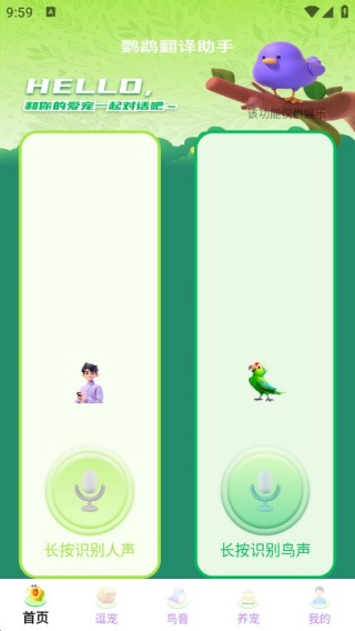 鹦鹉翻译助手